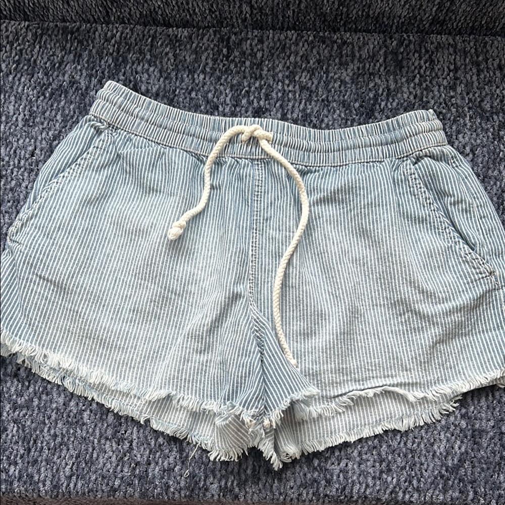 Aerie Blue Striped Women's Shorts